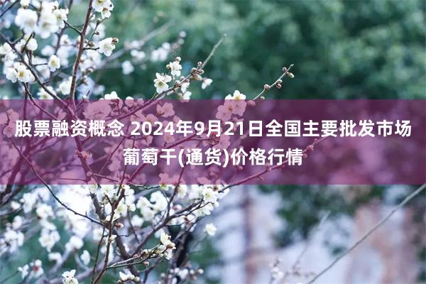 股票融资概念 2024年9月21日全国主要批发市场葡萄干(通货)价格行情