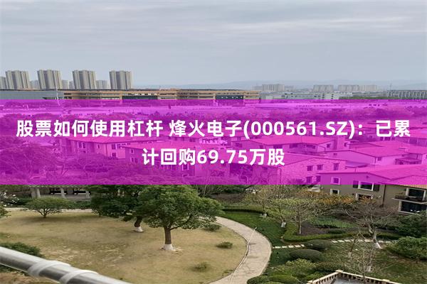 股票如何使用杠杆 烽火电子(000561.SZ)：已累计回购69.75万股