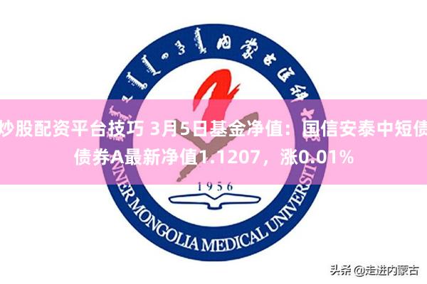 炒股配资平台技巧 3月5日基金净值：国信安泰中短债债券A最新净值1.1207，涨0.01%